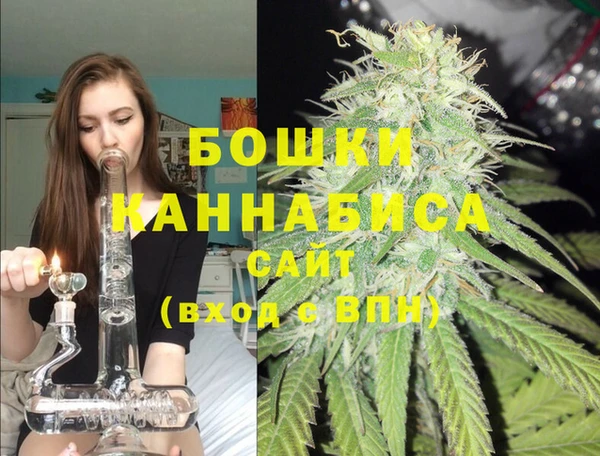 PSILOCYBIN Кинешма
