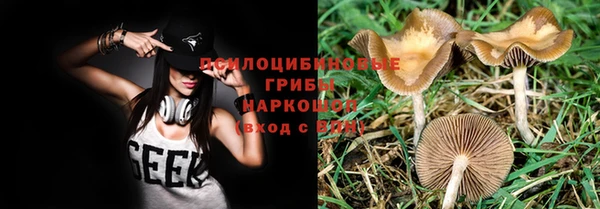PSILOCYBIN Кинешма