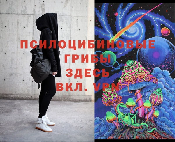 PSILOCYBIN Кинешма