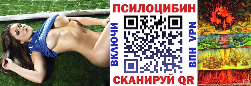 Псилоцибиновые грибы Psilocybine cubensis  Купить где  Южноуральск 